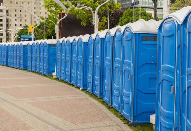 a row of portable restrooms at an outdoor special event, ready for use in Center Line